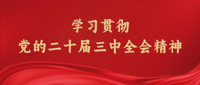 2024新澳门正版资料免费大全,福彩公益网,高效解析说明_安卓版17.411