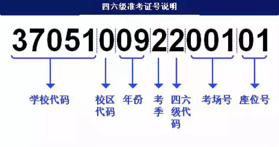 澳门三肖三码三期凤凰,快速执行方案解答_基础版14.586