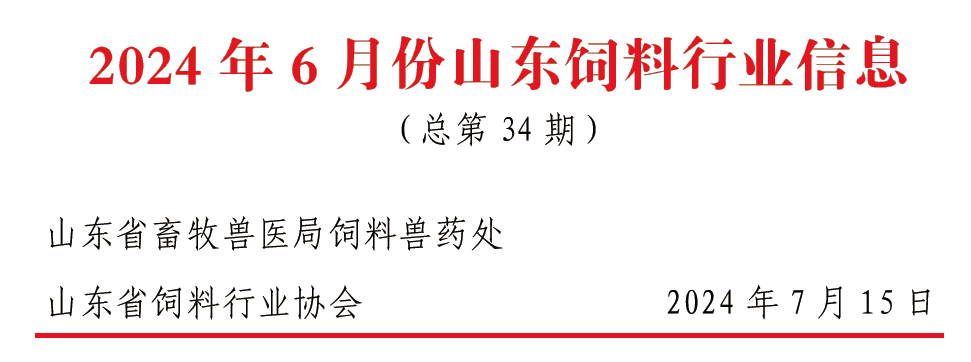 2024年12月7日 第43页