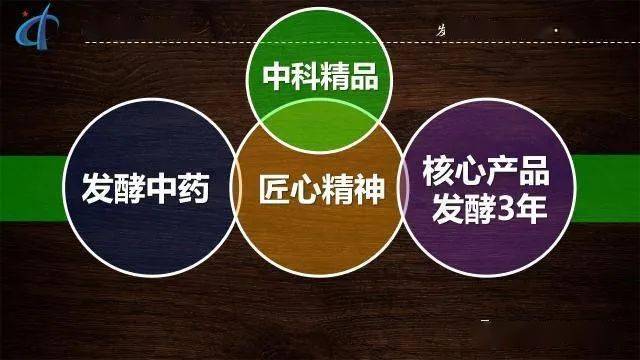 2024新奥历史开奖记录香港,高效策略实施_网页版89.218