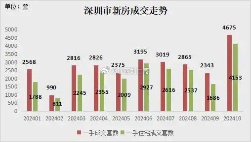 2024年12月7日 第10页