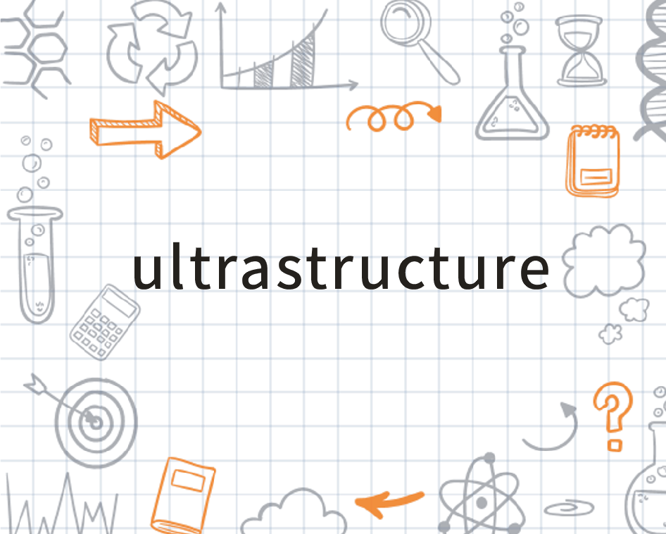 四期免费资料四期准,动态词汇解析_Ultra64.838