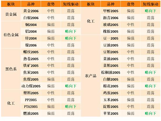 2024澳门天天六开奖彩免费,决策资料解释落实_XT97.582