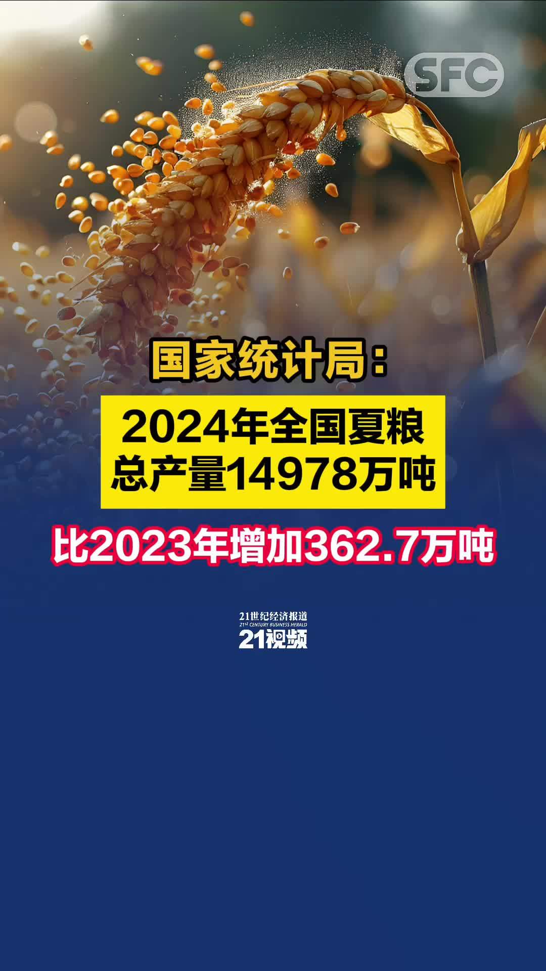 新澳资料大全正版2024金算盘,实地评估说明_GM版29.362