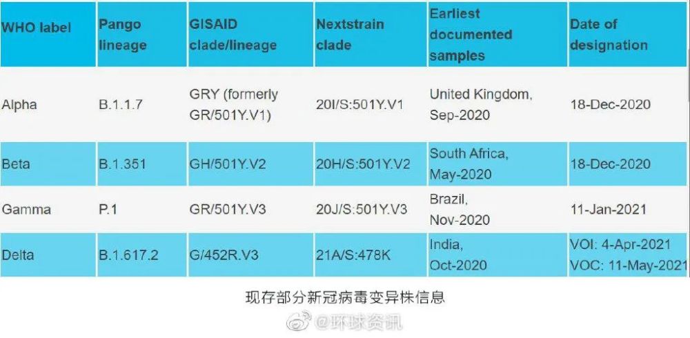 新冠病毒2024年最新消息,数据驱动执行方案_3DM36.30.79