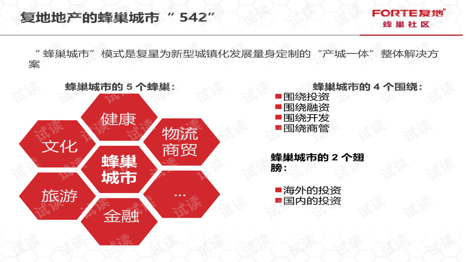 澳门今晚必开一肖,综合性计划定义评估_复古版77.340