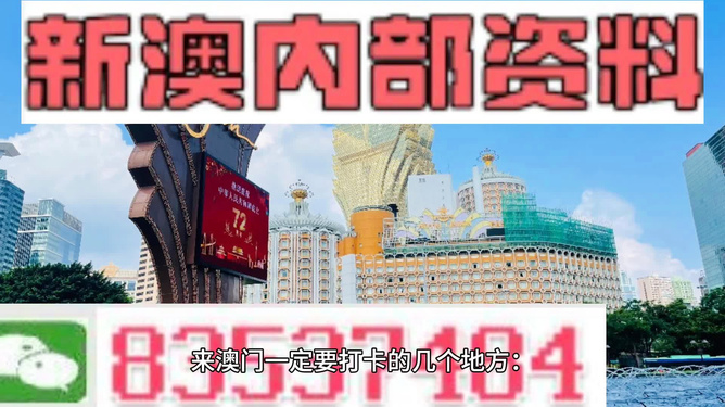 新澳门精准资料大全管家婆料,高效说明解析_领航版52.523