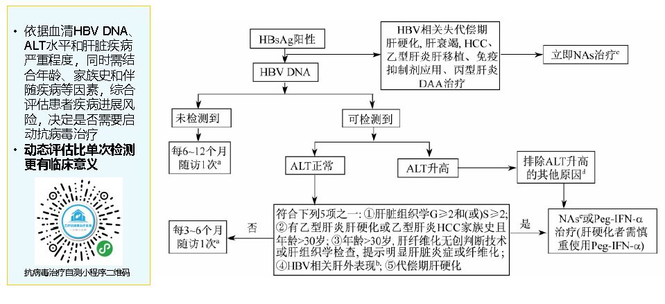 新澳11133,稳定性方案解析_bundle74.758