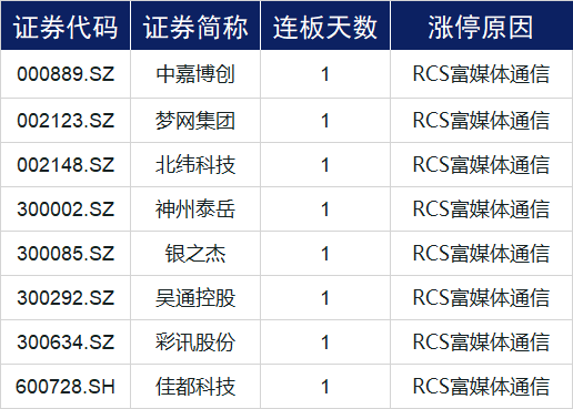 2024年12月14日 第31页