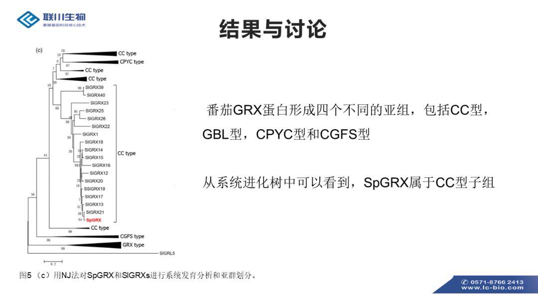 2024年濠江免费资料,调整方案执行细节_精简版105.220