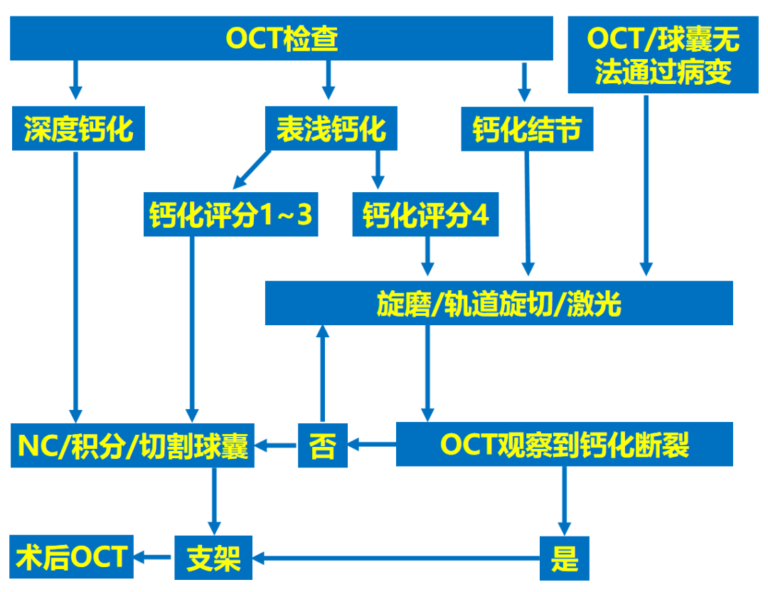 2024年12月18日 第39页