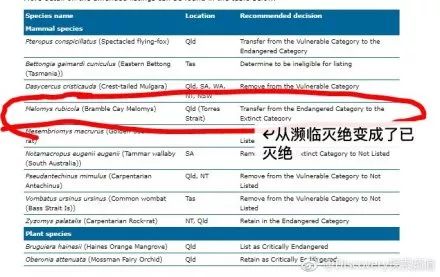 新澳开奖记录今天结果,可靠性方案设计_HDR版88.254