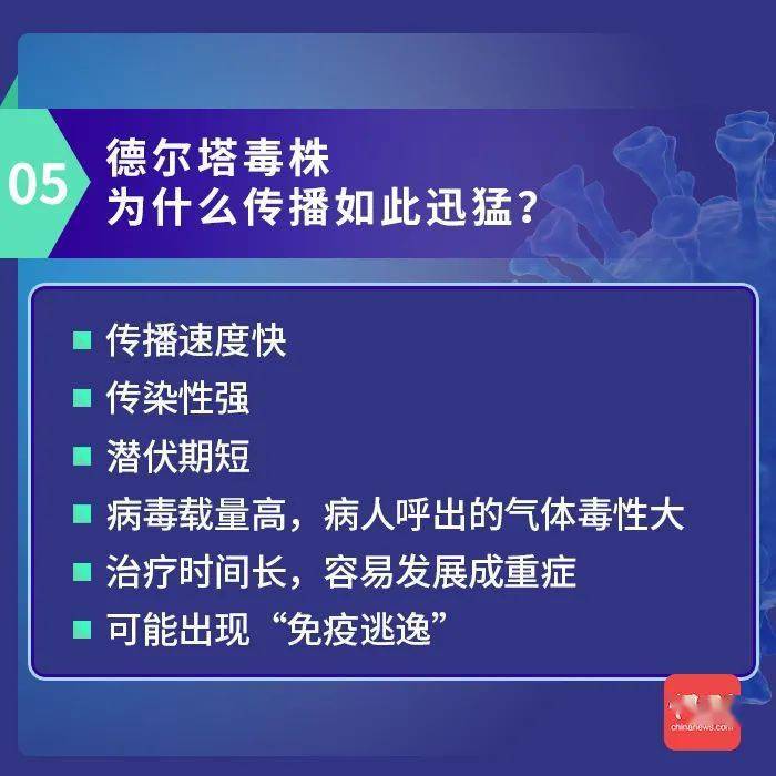 新澳门今天最新免费资料,经验解答解释落实_VR61.861