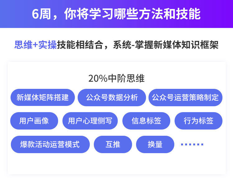 2024新天天免费资料,专业执行解答_专属版74.755