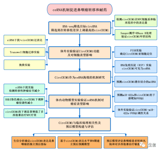 新澳2024正版资料免费公开,结构化推进评估_Advance84.369