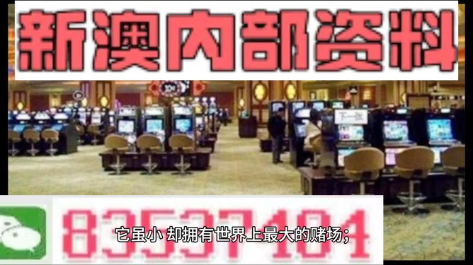 2024新澳免费资料大全精准版,完善的执行机制解析_tShop50.566