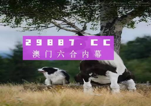 澳门今晚开特马四不像图,创新策略推广_Prestige32.83