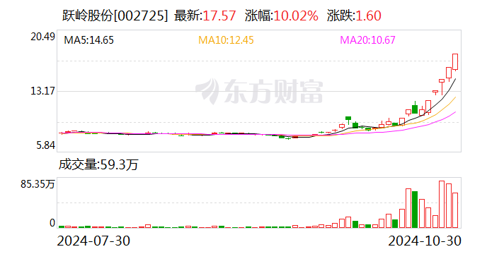 新澳2024今晚开奖结果,持续计划解析_投资版17.637