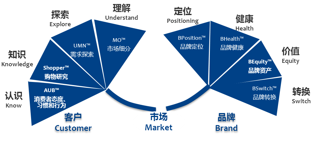 澳门一码中精准一码资料一码中,稳定设计解析策略_XR82.563