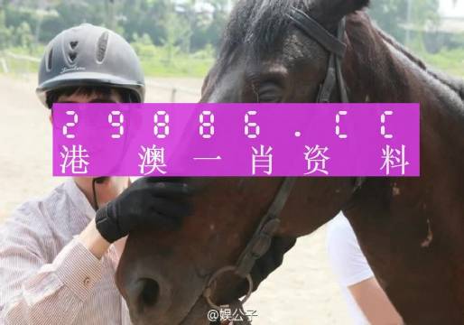 今晚澳门最准一肖一码,可靠解答解释落实_超值版41.251