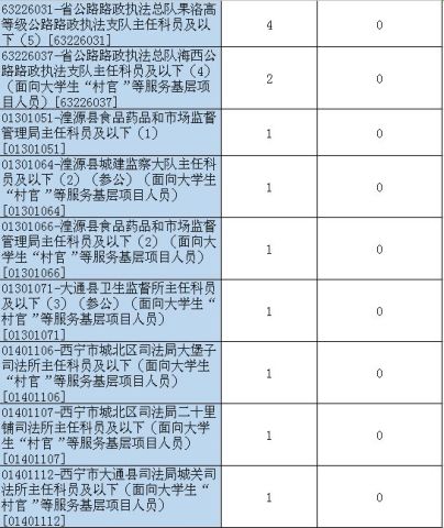 迟星北新职务，引领前沿科技，塑造未来之路