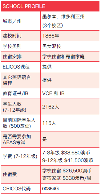 新澳2024年正版资料,快速解答设计解析_精英款70.324