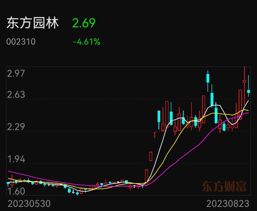 东方园林公司最新动态报道概览