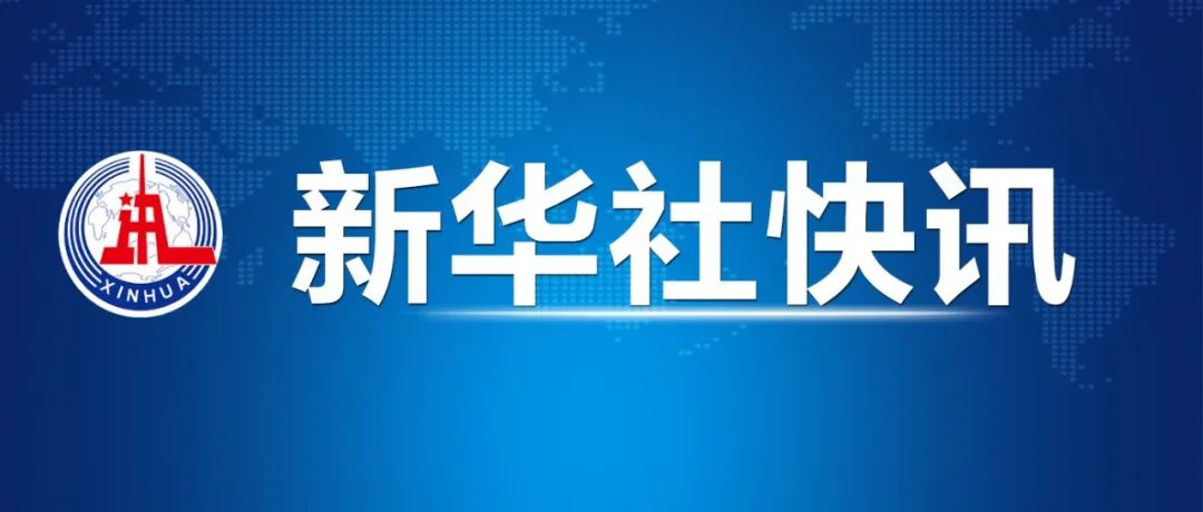 LTCoin信托最新动态全面解读