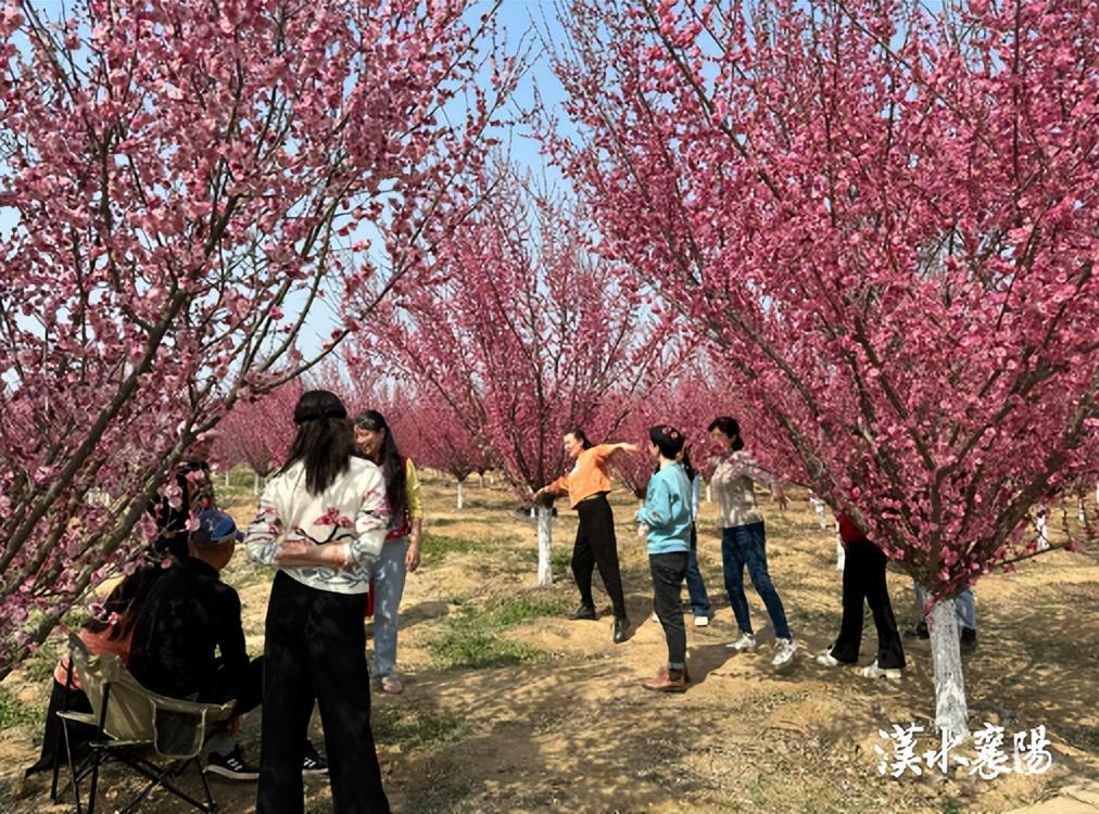 襄州区双沟最新动态全面解读