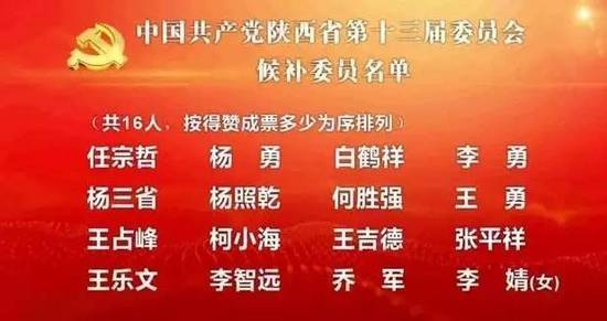 中央常委名单公布，成员角色定位与职责概述