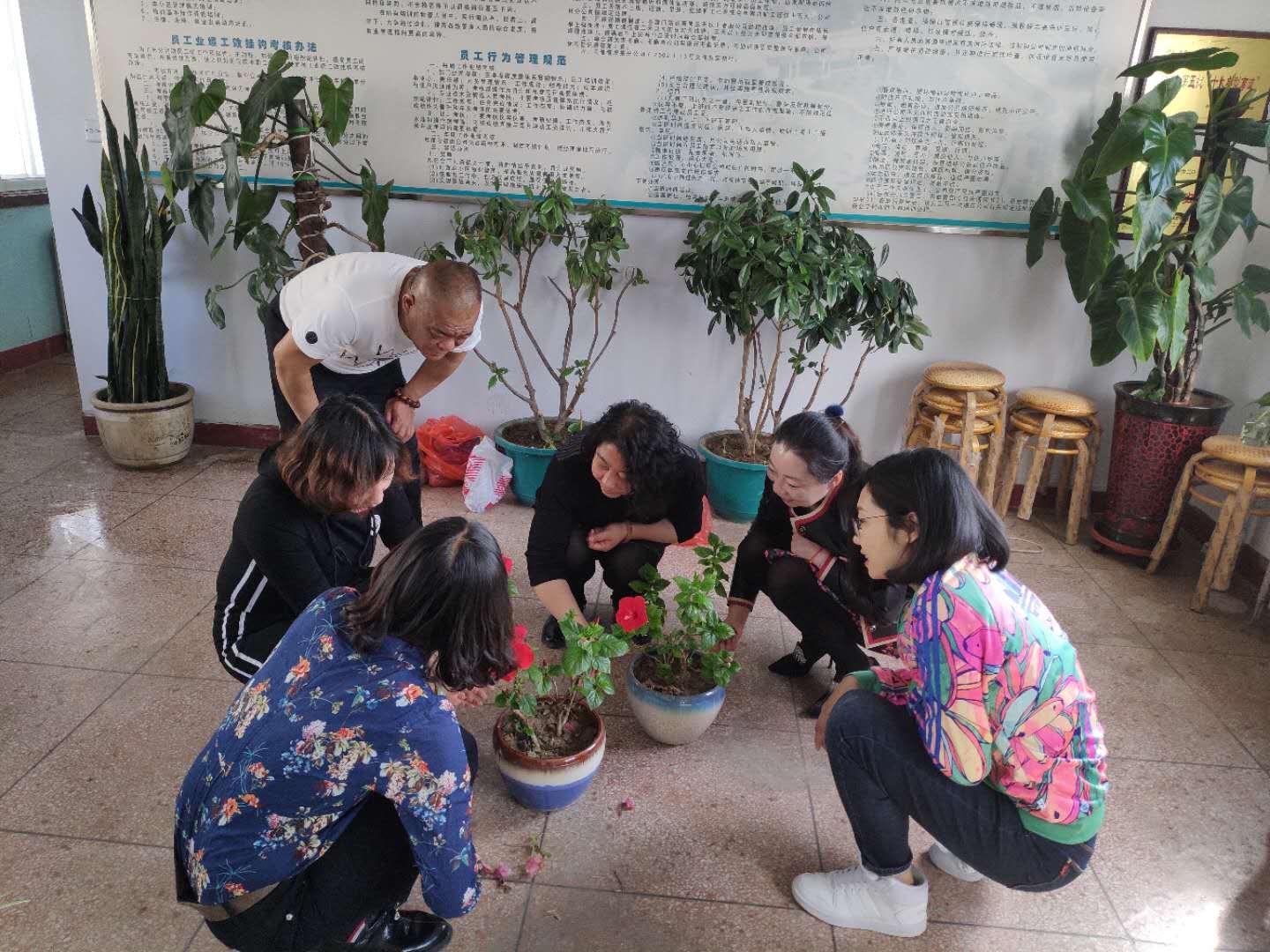 花艺探索之旅，最新花艺培训引领你领略花艺的无限魅力