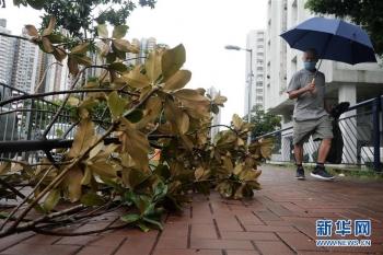 九号台风最新路径实时发布系统，监测预测与公众应对的关键工具