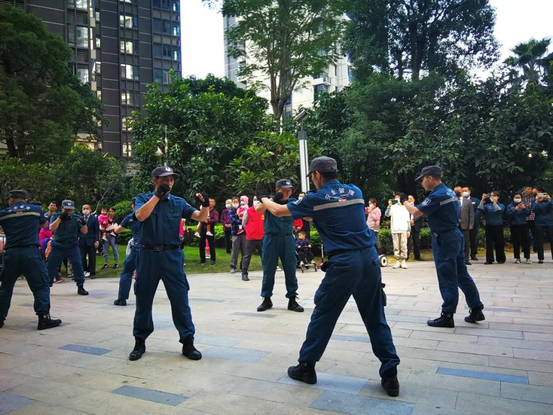 西关海最新动态，迈向可持续未来的步伐与前景展望展望