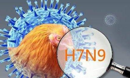 陕西省H7N9疫情最新情况报告