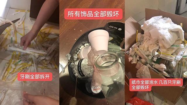 房客陈阳的生活轨迹揭秘，最新动态与故事概述