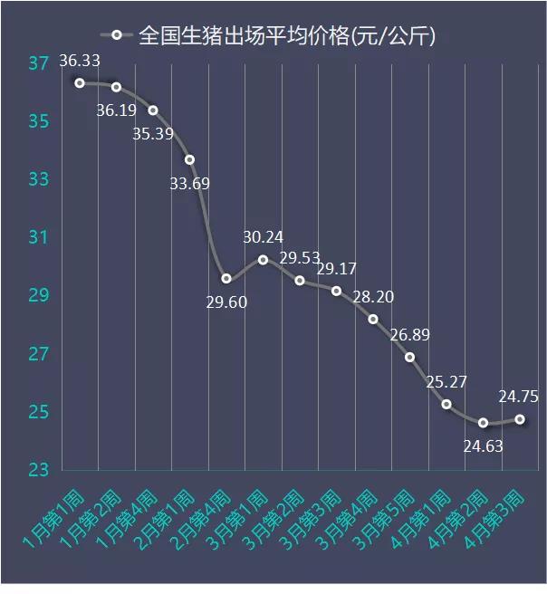 最新生猪价格行情解析