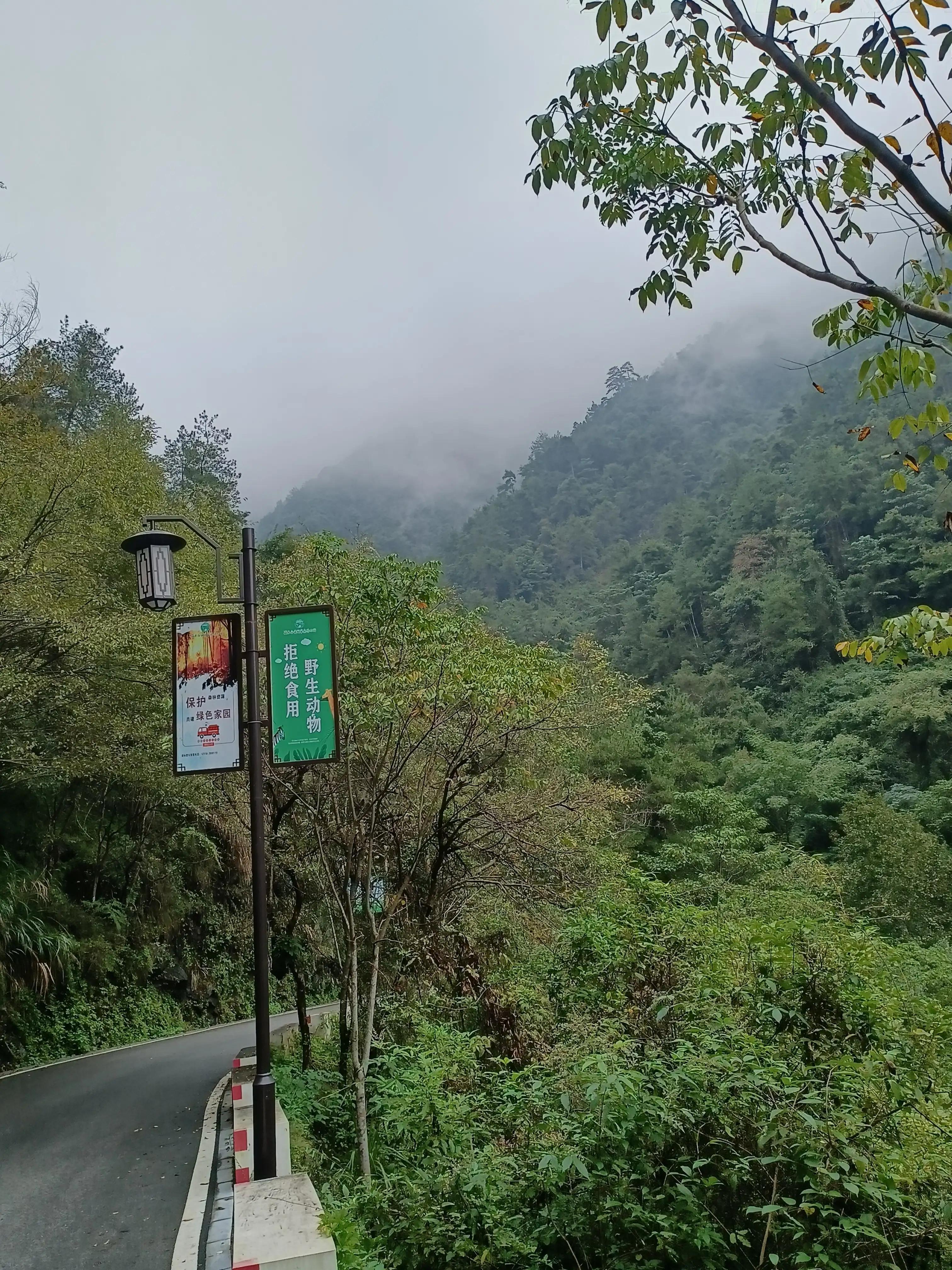 情到水穷处最新章节，命运与情感的双重升华之旅