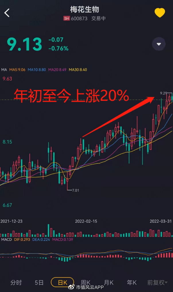 梅花生物股票最新动态全面解读