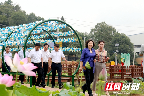 宁乡黎爱莲最新动态，光芒照亮人心