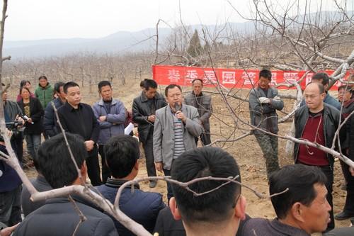 长治市壶口村发展与变迁深度报道，最新消息揭秘村庄新面貌