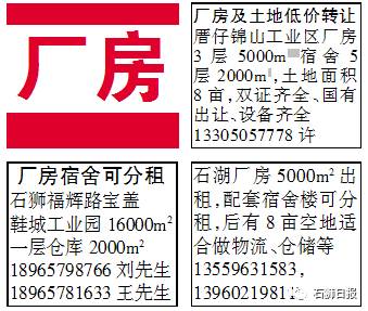 石狮市招聘网最新招聘动态全面解析