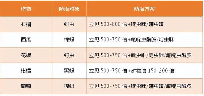 2024年11月13日 第56页