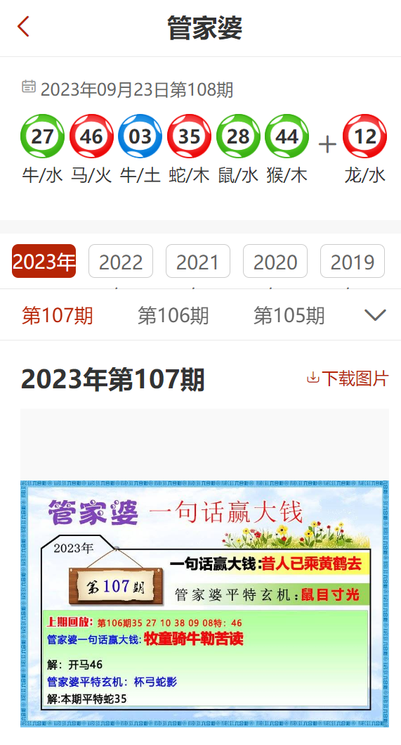 管家婆2024精准资料成语平特,符合性策略定义研究_复古版55.112