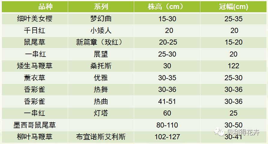 2024年天天彩免费资料,高效性计划实施_Max34.499