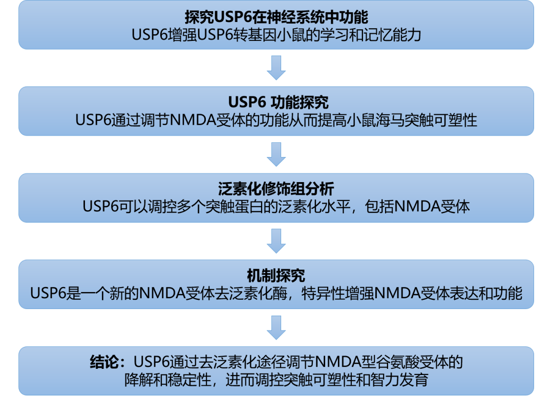 新澳49图库-资料,灵活性方案解析_HDR84.981