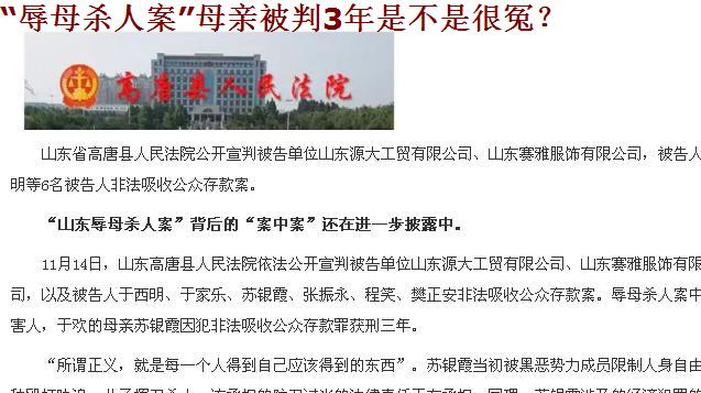 山东辱母案事件最新进展，司法公正与社会关注交融之际的反思与探讨