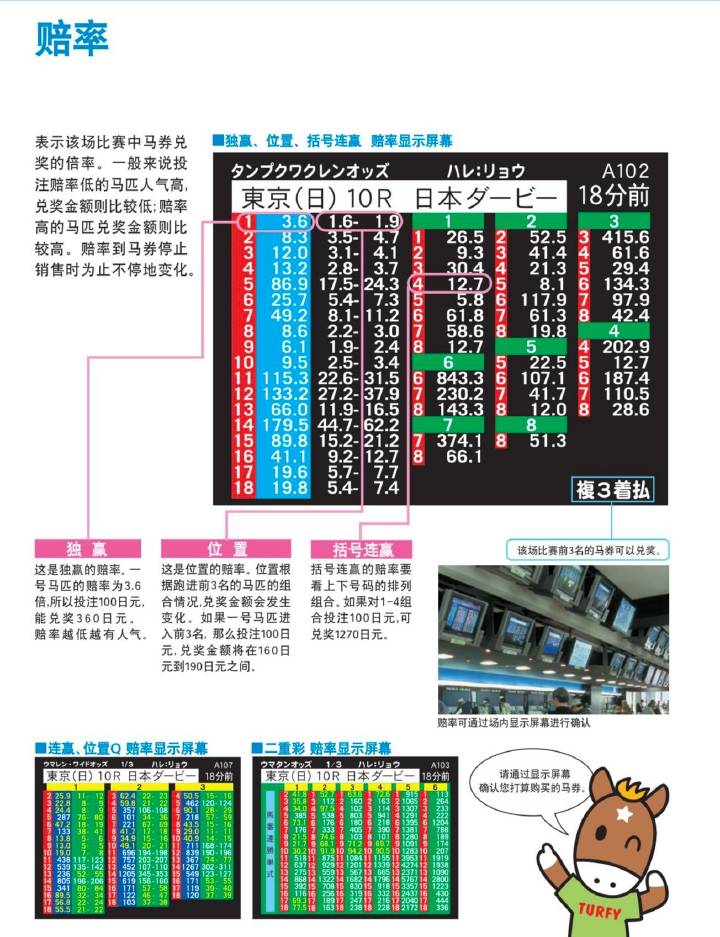 马会传真,安全性策略解析_炼皮境AQD283.26