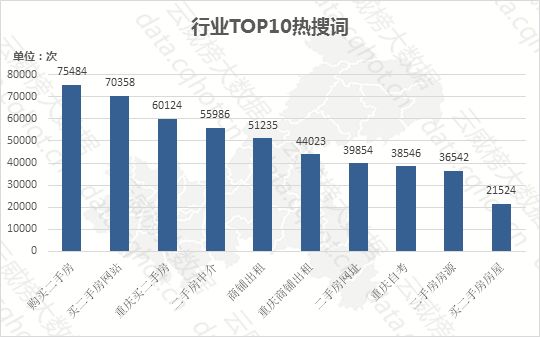 新澳门期期免费资料,案例分析：新澳门期期免费资料在商业决策中的应用