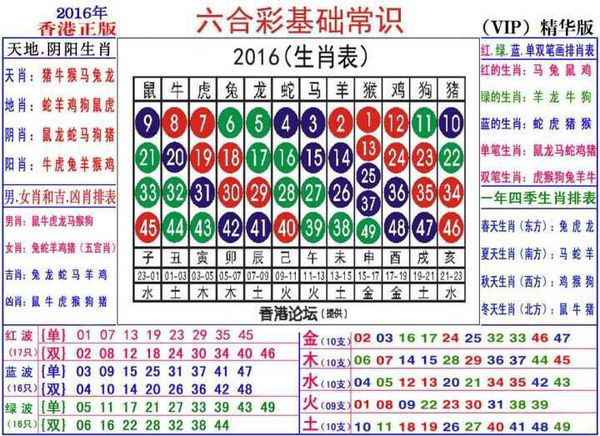 2024年买马十二生肖表,通过深入分析2024年买马十二生肖表