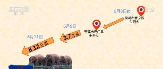 澳门正版免费全年资料大全旅游团,也让他对未来的旅行充满了期待